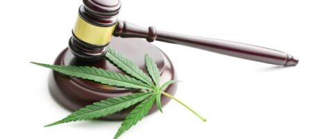 The Impact of Cannabis Legalization on Public Health