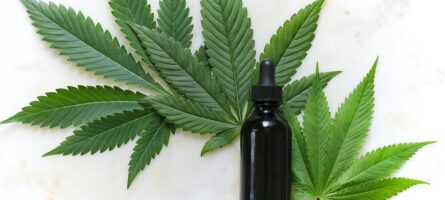 Unlock the Power of CBD in Your Kitchen!