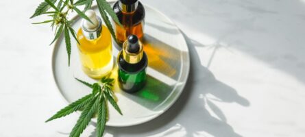 Don't Miss These Exciting CBD Events