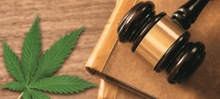 Exploring the Different Types of Cannabis Laws Across the US