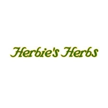 Cannabis Coupon For 20% Off On Your Order