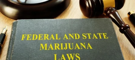 Cannabis legal landscape