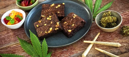THC edibles - the alternative to smoking Cannabis