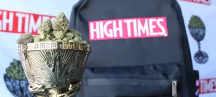 Hightimes - best places to smoke in 2023