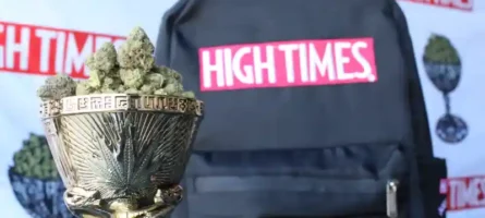 High Times: Top 5 Cannabis Events to Attend in 2023