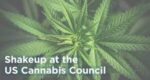 smoking cannabis US Cannabis Council