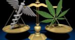 The Debate Over Cannabis Policies Continues